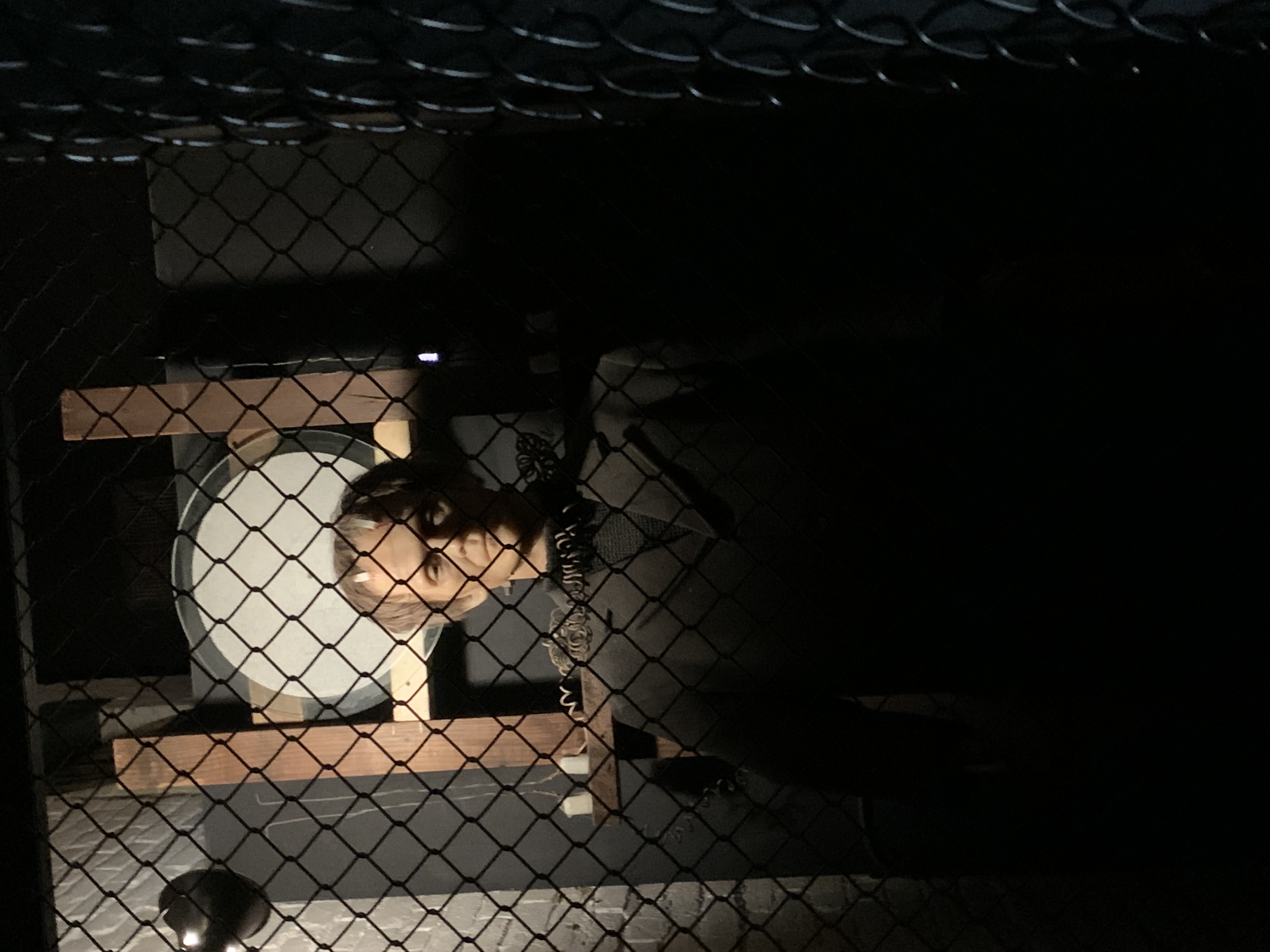 ./2022/06 - St Louis/06 - Day 6/20220526-151643628.JPG